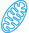 Mitochondrial function icon