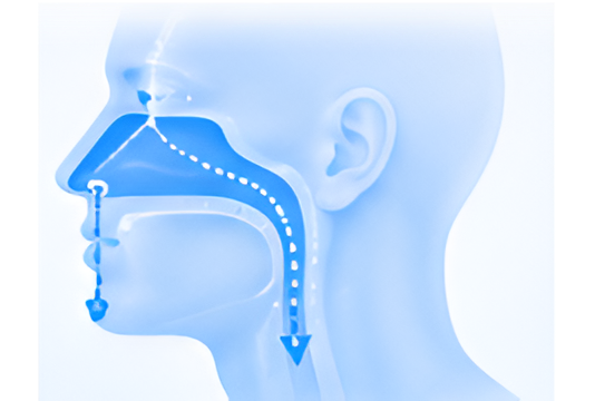 Nasal NAD+ delivered directly for better absorption