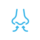 Direct nasal delivery icon