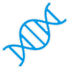 Nervous system support icon